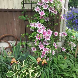 Meet your Posher, Donna